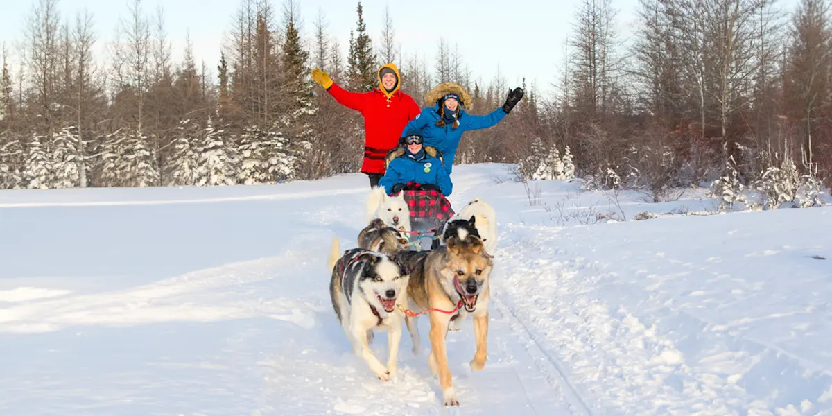 Nat Hab guests dog sledding, Churchill, Manitoba.
