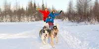 Nat Hab guests dog sledding, Churchill, Manitoba.
