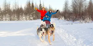 Nat Hab guests dog sledding, Churchill, Manitoba.