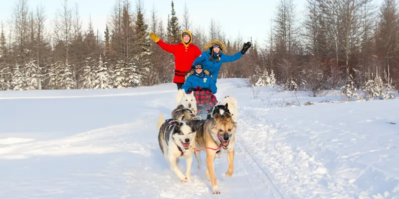 Nat Hab guests dog sledding, Churchill, Manitoba.