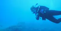 Scuba diving in the Bahamas.