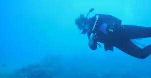 Scuba diving in the Bahamas.