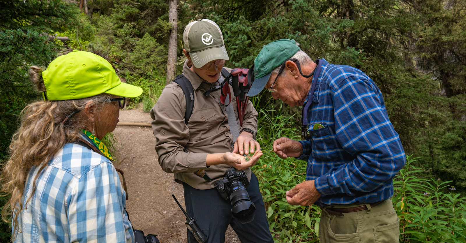 NAT-HAB-megan-brief 269417-EW-edit