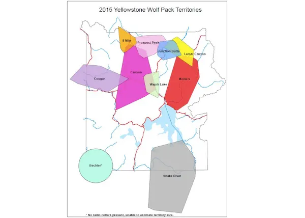 Beforeyougo|US-Nat-Parks|yellowstone|Wolfpackmap