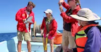 Earthwatch Expeditions Scientist teaches guests about sharks, Belize.
