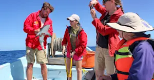 Earthwatch Expeditions Scientist teaches guests about sharks, Belize.