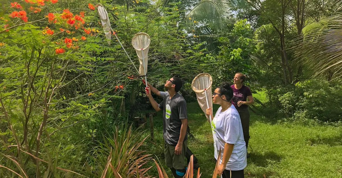 Earthwatch Expeditions guests use aerial nets to collect insects, Monteverde Cloud Forest Reserve, Costa Rica.