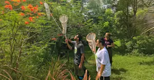 Earthwatch Expeditions guests use aerial nets to collect insects, Monteverde Cloud Forest Reserve, Costa Rica.