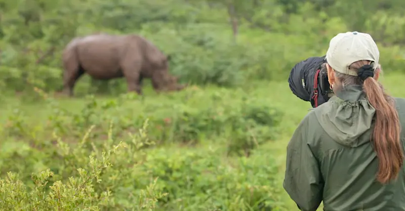 Nat Hab guest photographs white rhino, Mosi-oa-Tunya National Park, Zambia.