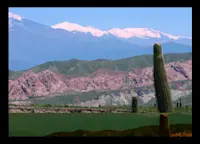 Slideshow Thumbnail 1 of 10