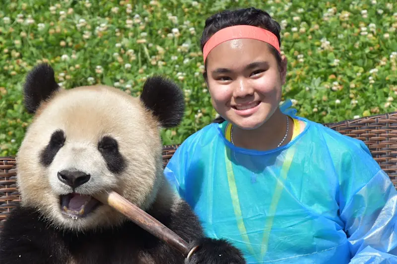 Sharing a seat with the cutest local, Chengdu, China.