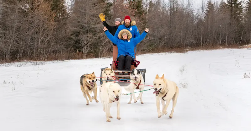Enjoying dog sledding while on Polar Bears trip in Canada.