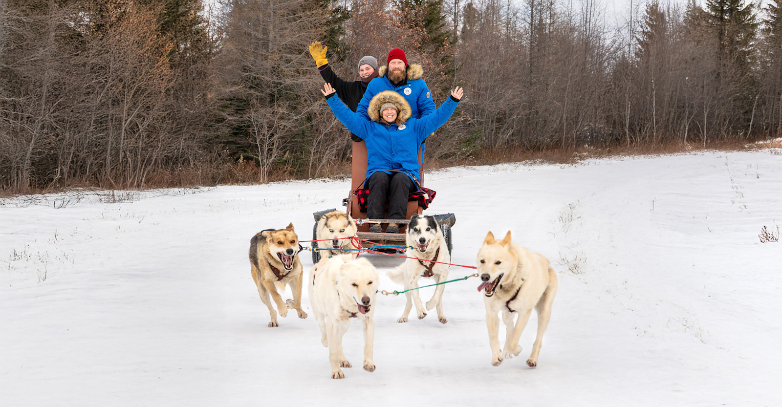 Enjoying dog sledding while on Polar Bears trip, 2024.