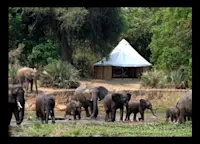 Slideshow Thumbnail 3 of 8