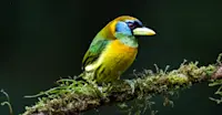 Slideshow Thumbnail 4 of 7