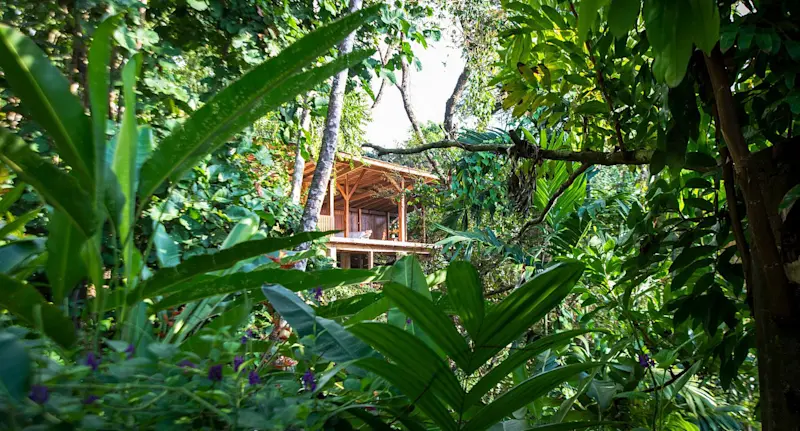 Cabin through the trees
