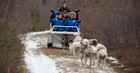 Nat Hab guests dog carting, Churchill, Manitoba.