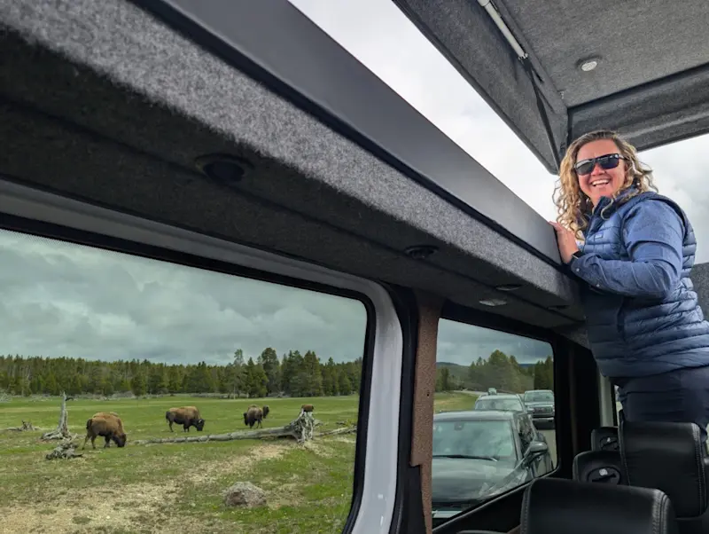 Getting a great view of the bison in Yellowstone, Wyoming.