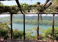 Slideshow Thumbnail 5 of 7