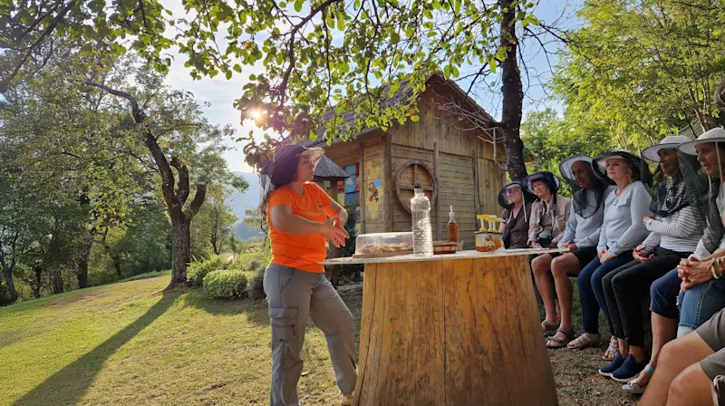 Nat Hab guests on a private visit to a bee farm, Slovenia.