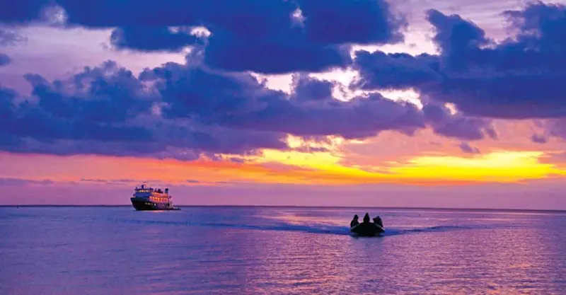 National Geographic Venture, Magdalena Bay, Mexico.