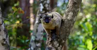 Slideshow Thumbnail 4 of 8