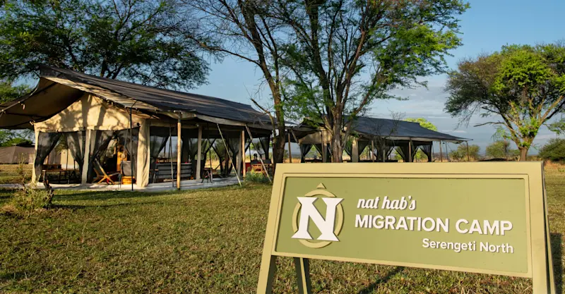 Nat Hab's Migration Camp—Serengeti National Park, Tanzania.