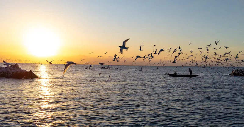 Masoala, Madagascar.