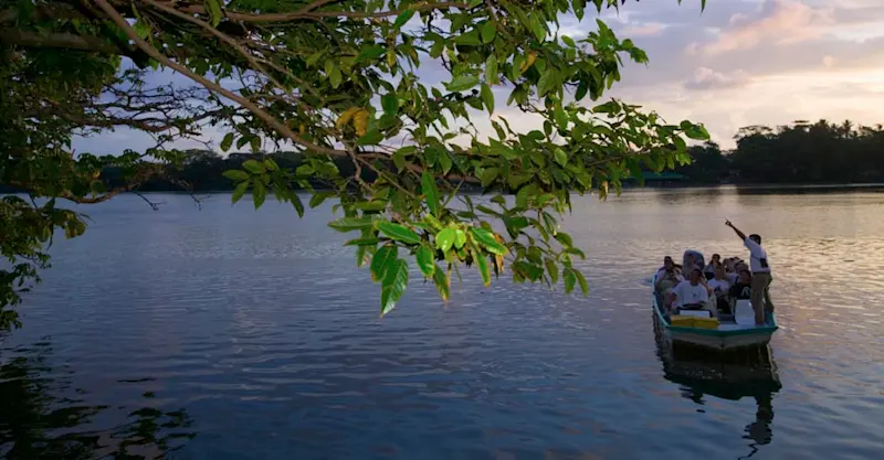 Private boat tour, Tortuguero National Park, Costa Rica.