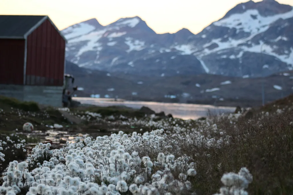 Beforeyougo|Greenland|Sara Higgins 1367
