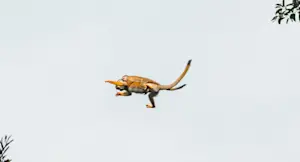 Slideshow Image Thumbnail 11 of 17