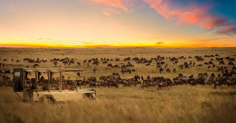 Wildebeest migration, Serengeti National Park, Tanzania.