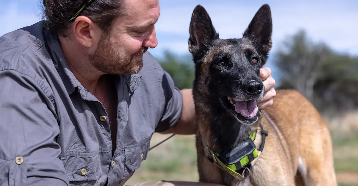 Earthwatch Expeditions scientist with tracking dog, Namibia.