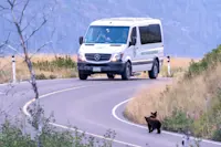 Nat Hab's North America Safari Cruiser, Glacier National Park, Montana.