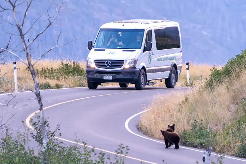 Nat Hab's North America Safari Cruiser, Glacier National Park, Montana.