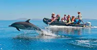 Guests in Zodiac watching dolphins, Baja California, Mexico.