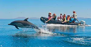 Guests in Zodiac watching dolphins, Baja California, Mexico.
