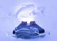 Slideshow Thumbnail 6 of 13