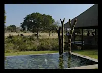 Slideshow Thumbnail 5 of 7