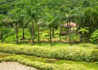 Slideshow Thumbnail 3 of 7