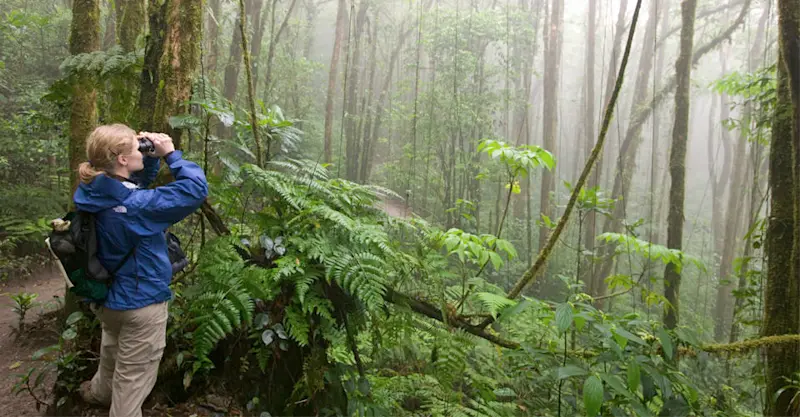 Nat Hab guest, Cerro de la Muerte Cloud Forest, Costa Rica.