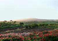 Slideshow Thumbnail 6 of 7