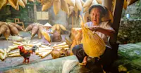 Traditional basket weaving, Thu Sy Village, Vietnam.