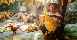 Traditional basket weaving, Thu Sy Village, Vietnam.