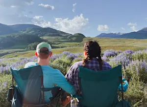 Lupine watch in Crested Butte Colorado