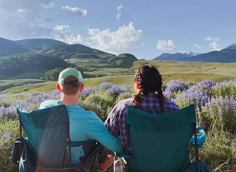 Lupine watch in Crested Butte Colorado