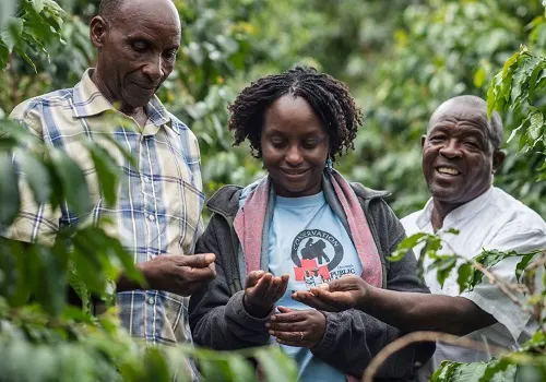 Beforeyougo|Africa|Uganda-Rwanda|Gorillaconservationcoffeejpg