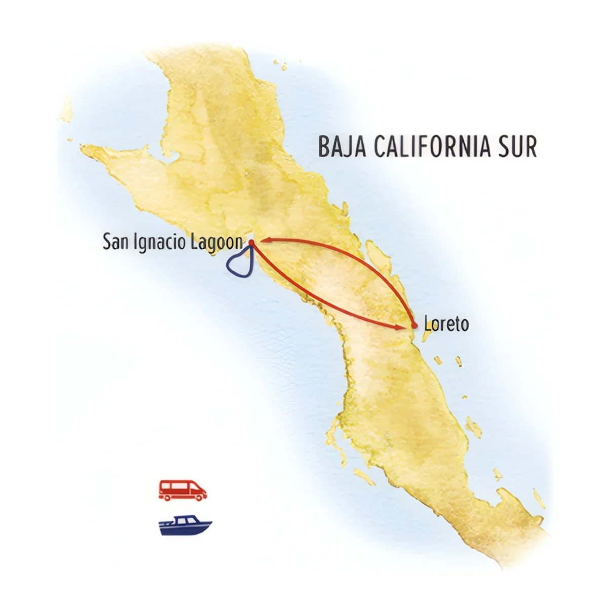 Trip map for The Great Gray Whales of Baja