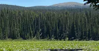 My view near Red Rock Lake in Colorado. 