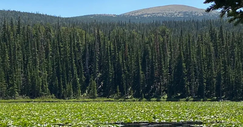 My view near Red Rock Lake in Colorado. 